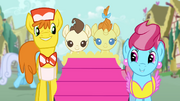 The Cake family in Ponyville S4E12