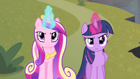 Twilight and Cadance looking serious S4E11