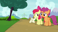 Apple Bloom and Scootaloo feel bad for Sweetie Belle S7E6