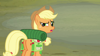 Applejack 'The last thousand times you asked that' S3E06