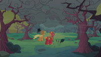 Applejack and Big McIntosh looking at dark clouds S2E12