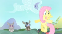 Baby bat flying around Fluttershy S4E07