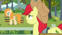 Bright Mac feeling sorry for Pear Butter S7E13