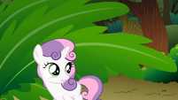 Confused Sweetie Belle S01E18