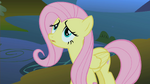 Fluttershy is worried S1E17