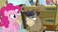 Pinkie Pie Make Friends With YOU S02E18