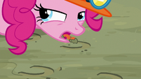 Pinkie Pie tasting the gorge dirt S7E4