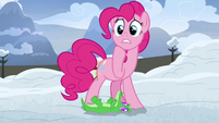 Pinkie becoming very worried about the yaks S7E11