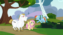 Rainbow 'all four hooves off the ground' S4E10