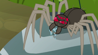 Spider looking intimidating S4E18