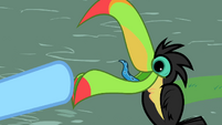 Toucan squawking S2E07