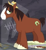 Trouble Shoes ID S5E6