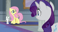 Fluttershy and Angel see Rarity-Ocellus S8E1