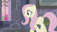 Fluttershy asking the bird for help S5E02