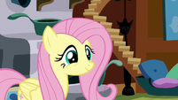 Fluttershy kind smile S5E3