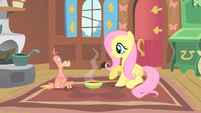 Fluttershy serves Philomena soup S01E22