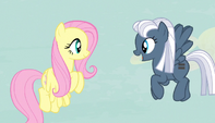 Night Glider bids welcome to Fluttershy S5E1