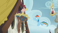 Rainbow Dash apologizing to the griffons S8E2
