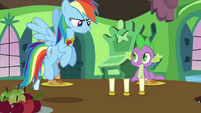 Rainbow Dash does not Approve S3E10