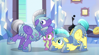 Spike and royal guards hear Shining Armor S6E16