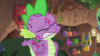 Spike unable to stop scratching S8E11