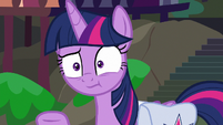 Twilight Sparkle expecting more details S9E5