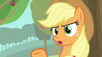 Applejack "I'm just sayin'" S9E10