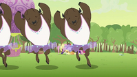 Buffalos dancing S2E02