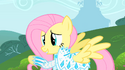 Fluttershy's upper eyelashes are missing