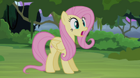 Fluttershy surprised S4E03