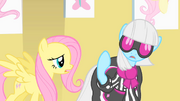 Fluttershy trying to talk to Photo Finish S1E20