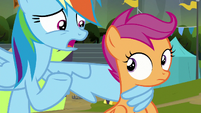 Rainbow Dash "safety rules for a reason" S8E20