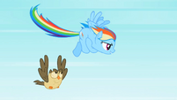 Rainbow Dash about to fly fast S2E07