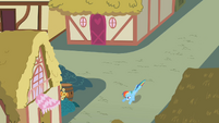 Rainbow Dash chasing S2E08