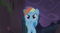 Rainbow Dash emerging from the shadows S1E02