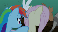 Rainbow Dash tapping on Fluttershy S6E15