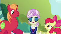 Registration pony disqualifies Apple Bloom and Big Mac S5E17