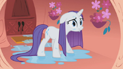 S01E08 Rarity po wykonaniu zadania od Applejack