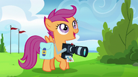 Scootaloo "I can't believe I'm documenting" S7E7