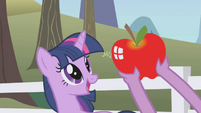 The perfect apple...