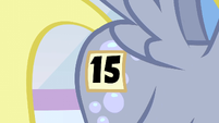 Derpy's number 15.