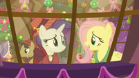 Flutterholly --a lot like a Hearth's Warming Eve party-- S06E08