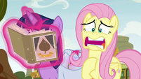 Fluttershy "led to a town-wide panic!" S9E22