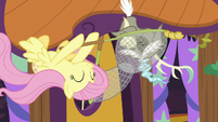 Fluttershy catches Discord with her net S7E12