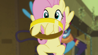 Fluttershy catching ring S4E04