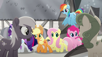 Mane Six passing by gray ponies MLPRR