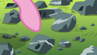 Pinkie Pie pointing at one of the rocks S4E18