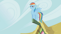 Dashie standing on a part of a ceiling.