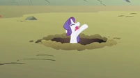 Rarity, calling out for Spike.