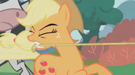 S01E04 Applejack ciągnie za linę